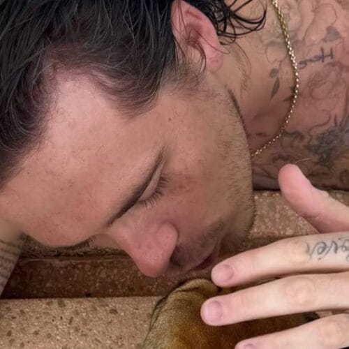 "Why Brooklyn Beckham&rsquo;s New Tattoo Move Has Everyone Asking: What Did Mum Victoria Do This Time?"
