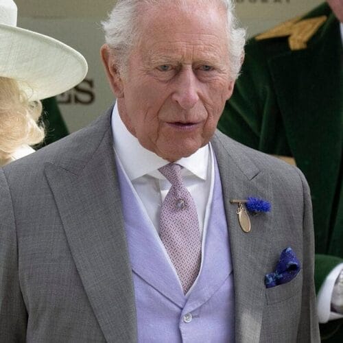 "Royal Rumble: King Charles Drops a Dazzling Truth Bomb on Harry and Meghan's Return!"