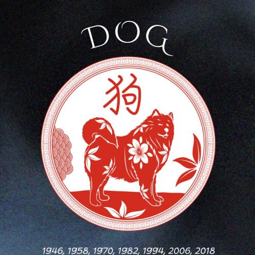 "Unlock the Secrets: Which 3 Chinese Zodiac Signs Will Experience a Cosmic Makeover Before 2026?"