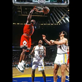 "From Court Cases to Catfights: How the Air Jordan 11 Became the Drama Queen of Sneakers!"